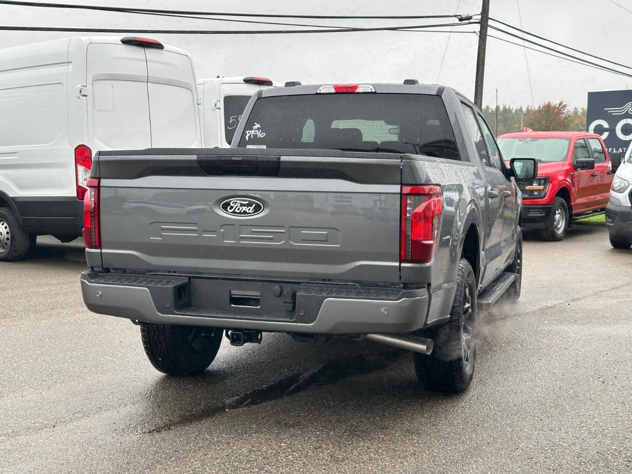 2025 Ford F-150 XLT 4WD SuperCrew 5.5' Box Photo