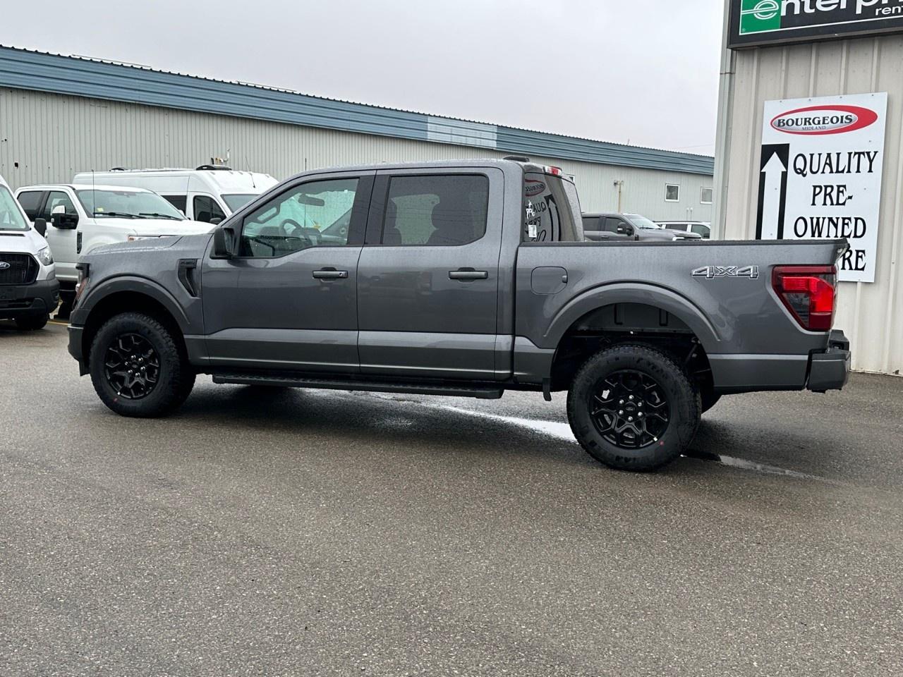 2025 Ford F-150 XLT 4WD SuperCrew 5.5' Box Photo