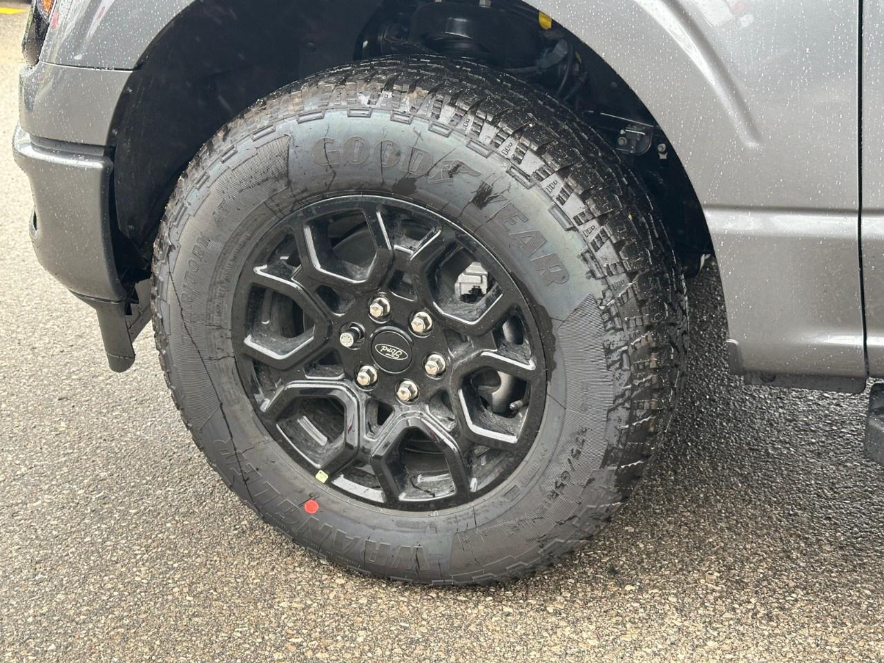 2025 Ford F-150 XLT 4WD SuperCrew 5.5' Box Photo