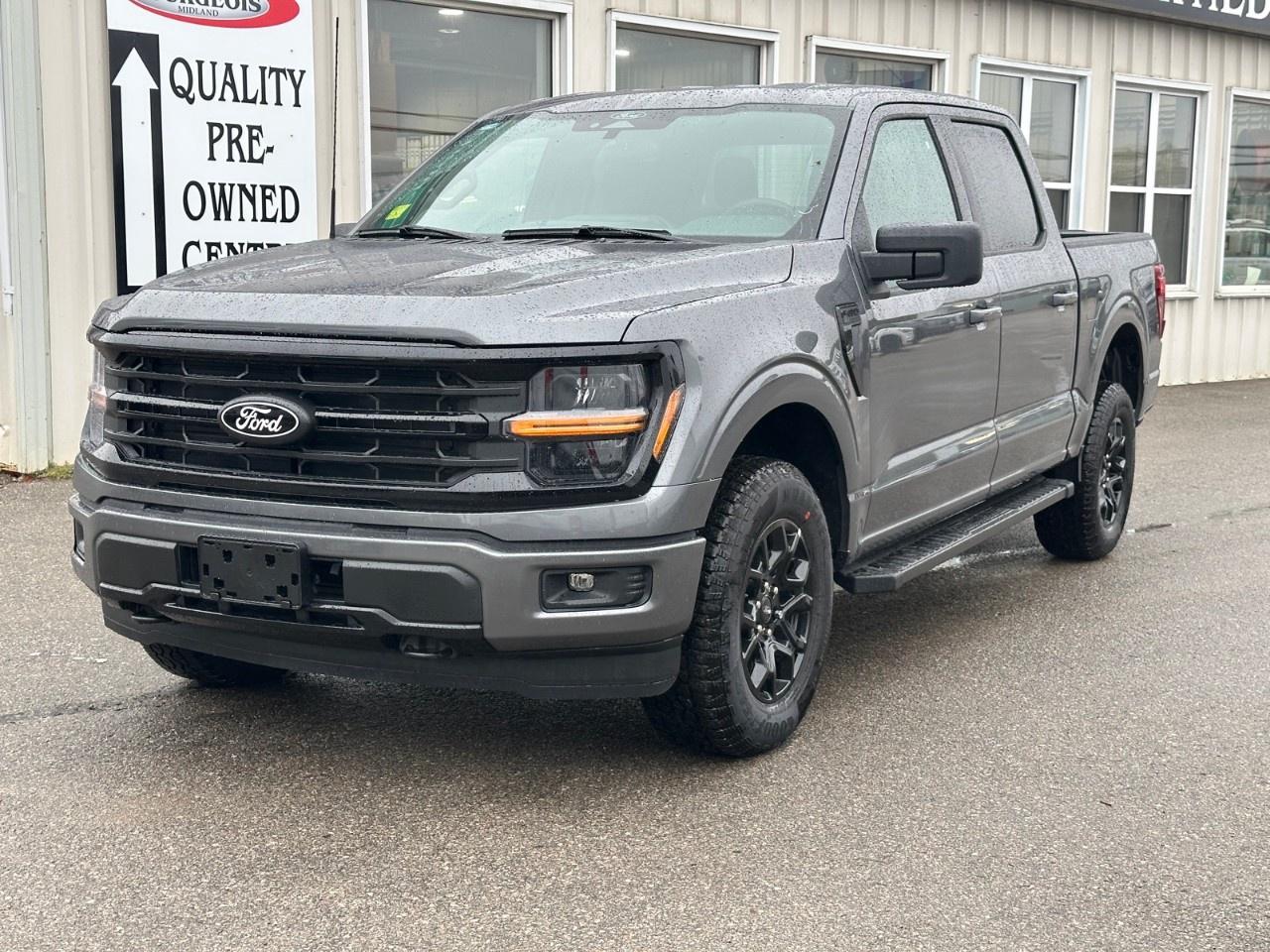 2025 Ford F-150 XLT 4WD SuperCrew 5.5' Box Photo