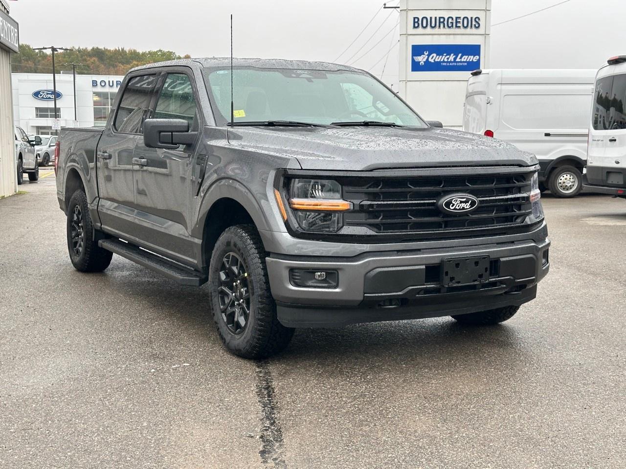 2025 Ford F-150 XLT 4WD SuperCrew 5.5' Box Photo