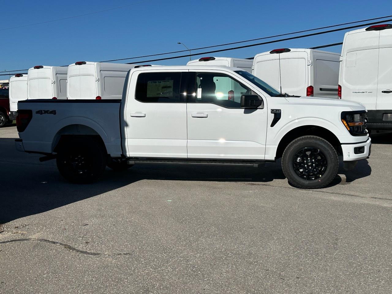 2025 Ford F-150 XLT 4WD SuperCrew 5.5' Box Photo