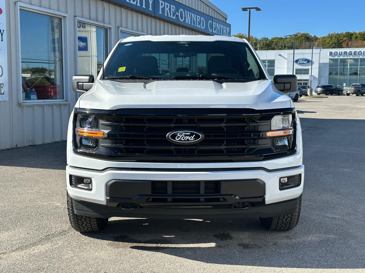 2025 Ford F-150 XLT 4WD SuperCrew 5.5' Box Photo