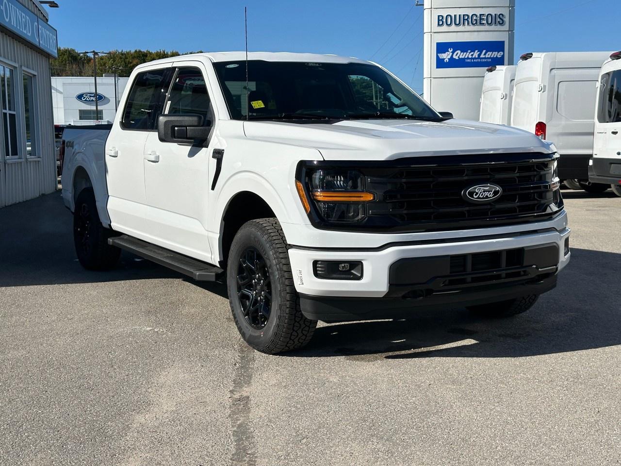 2025 Ford F-150 XLT 4WD SuperCrew 5.5' Box Photo