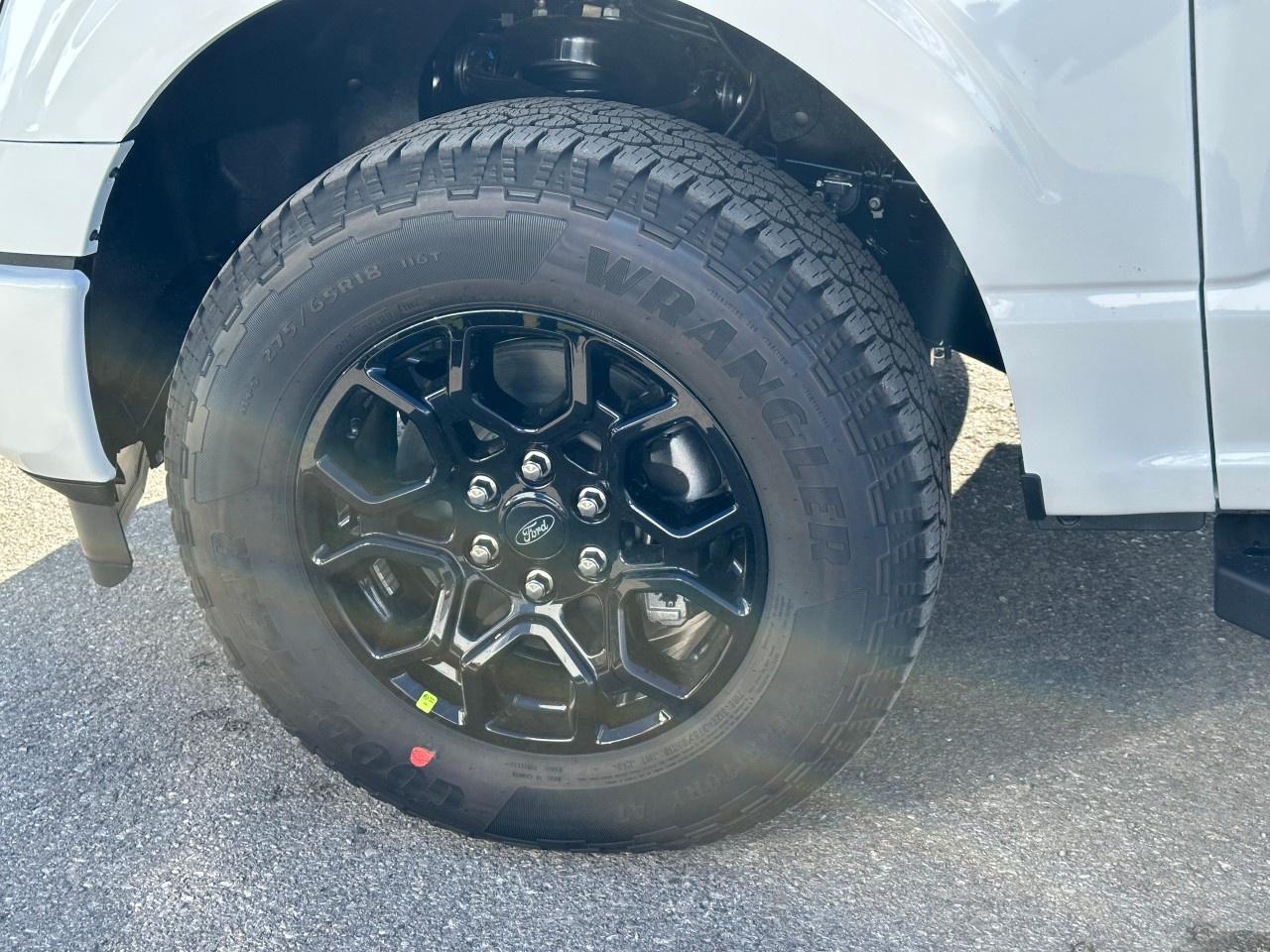 2025 Ford F-150 XLT 4WD SuperCrew 5.5' Box Photo