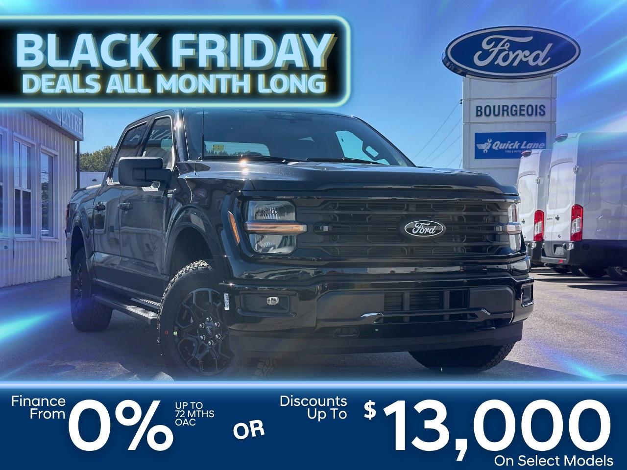 2025 Ford F-150 XLT 4WD SuperCrew 5.5' Box Photo0