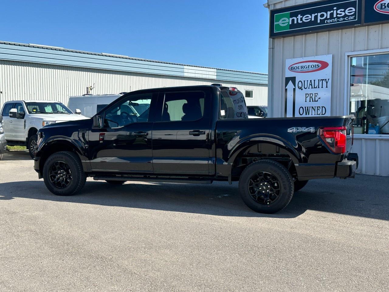 2025 Ford F-150 XLT 4WD SuperCrew 5.5' Box Photo