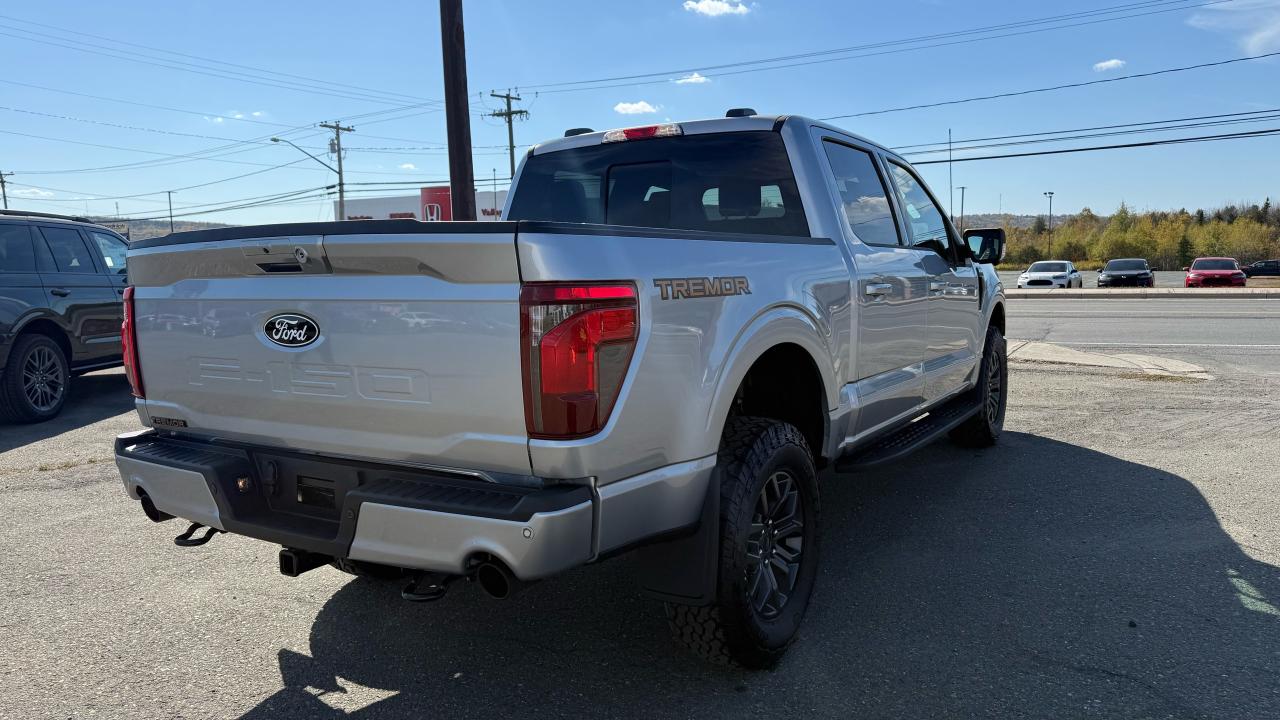 2025 Ford F-150  Photo