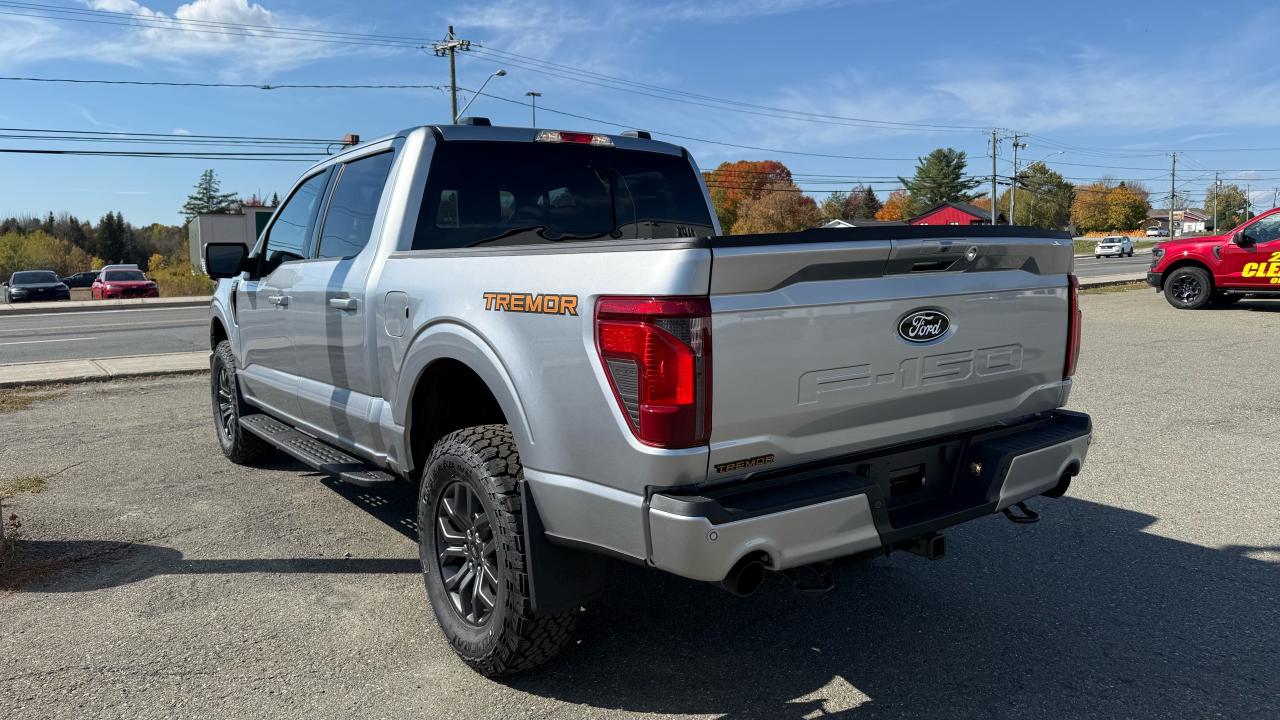 2025 Ford F-150  Photo