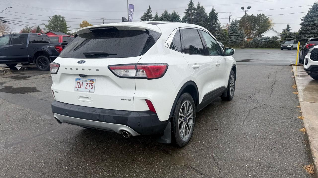 2022 Ford Escape  Photo