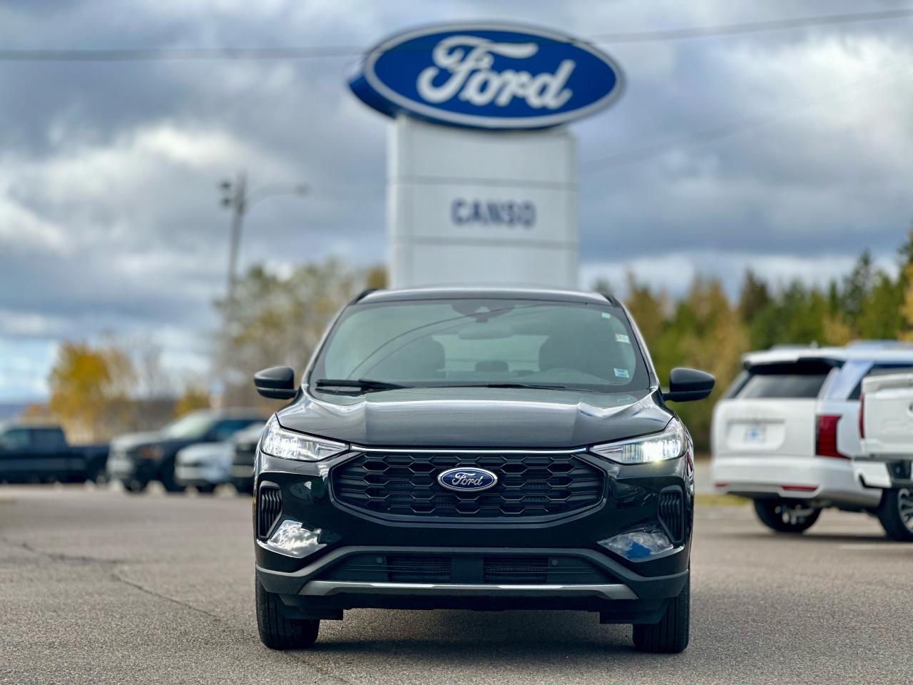 2025 Ford Escape ST-Line AWD Photo5