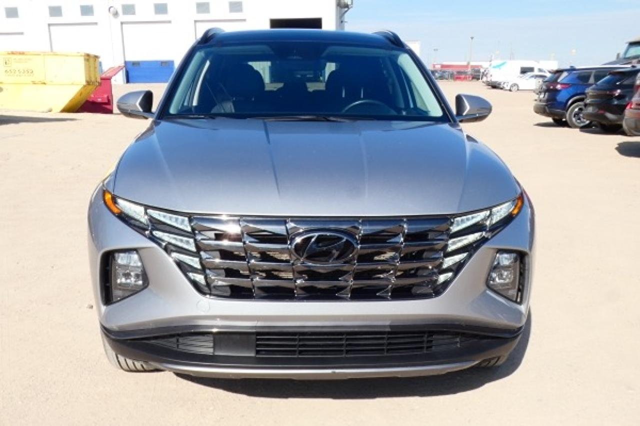 2024 Hyundai Tucson Trend AWD w/Htd Leather, pano S/R, NAV, BUC - Photo #3