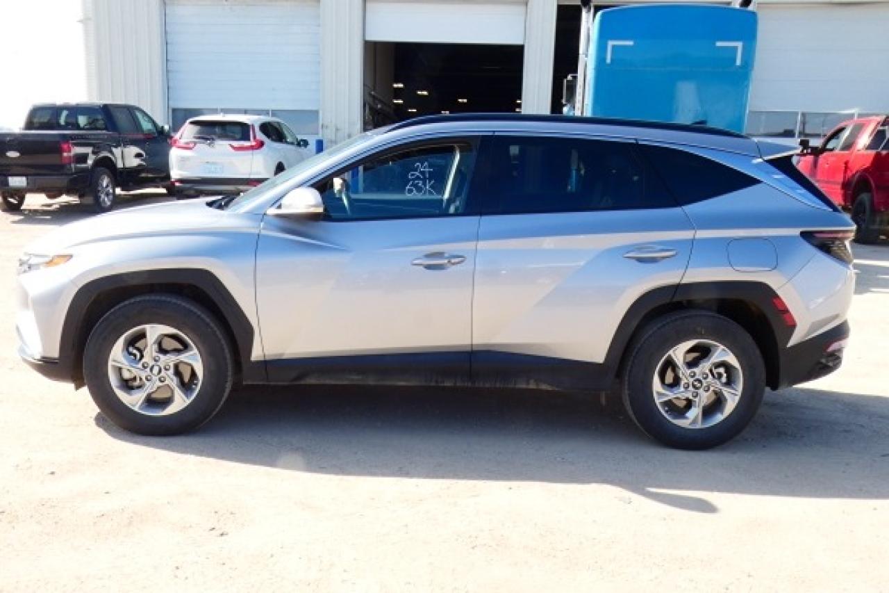 2024 Hyundai Tucson Trend AWD w/Htd Leather, pano S/R, NAV, BUC - Photo #1