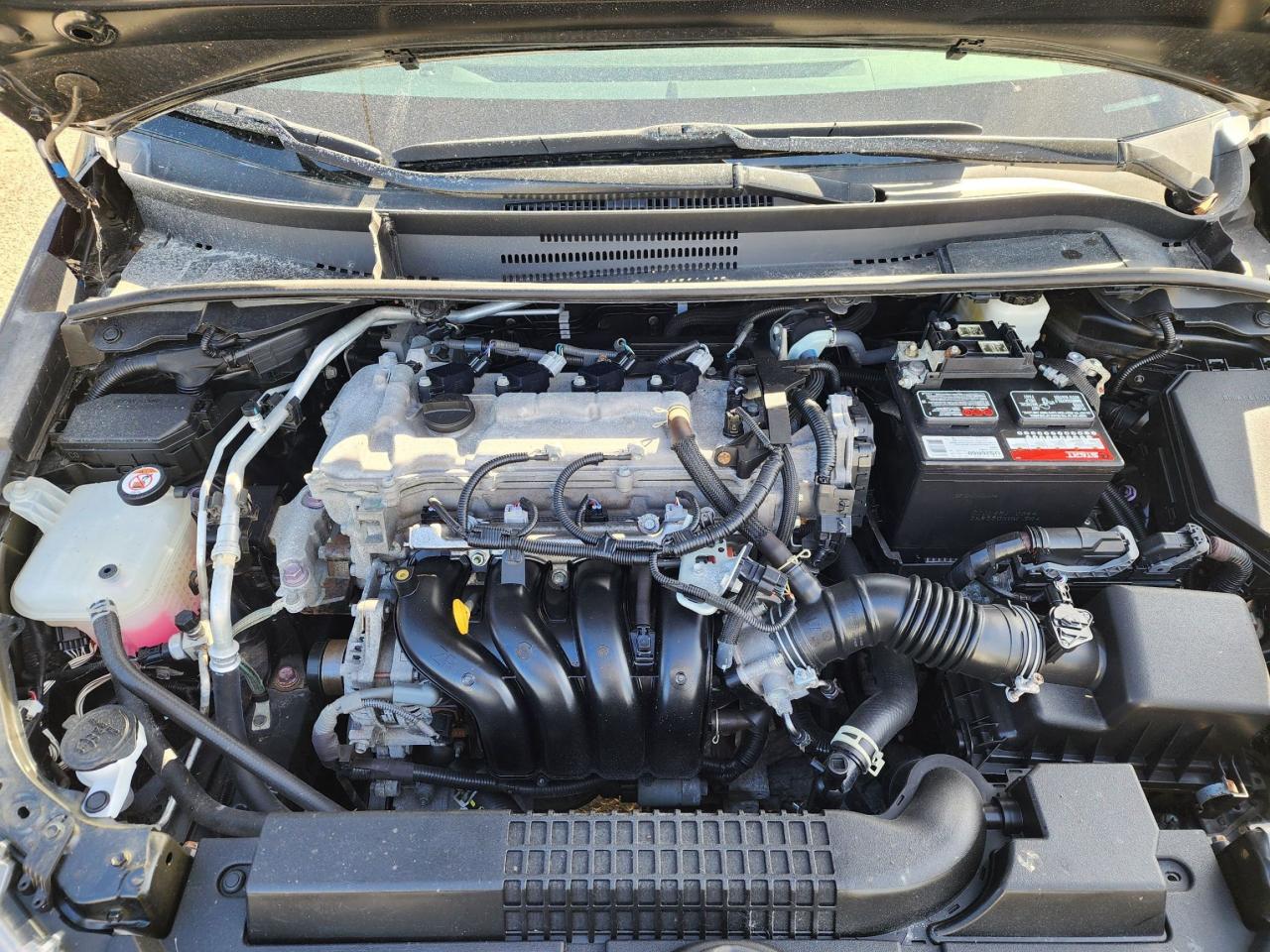 2021 Toyota Corolla LE l Fuel Efficent l Low Km's l Well Serviced.