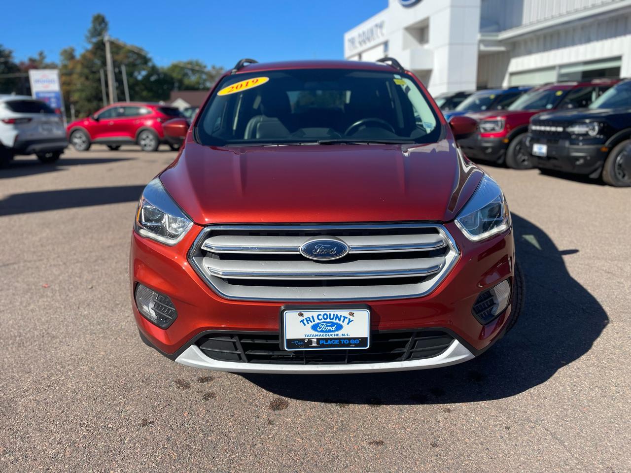 2019 Ford Escape SEL Photo