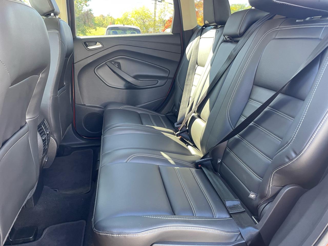 2019 Ford Escape SEL Photo5