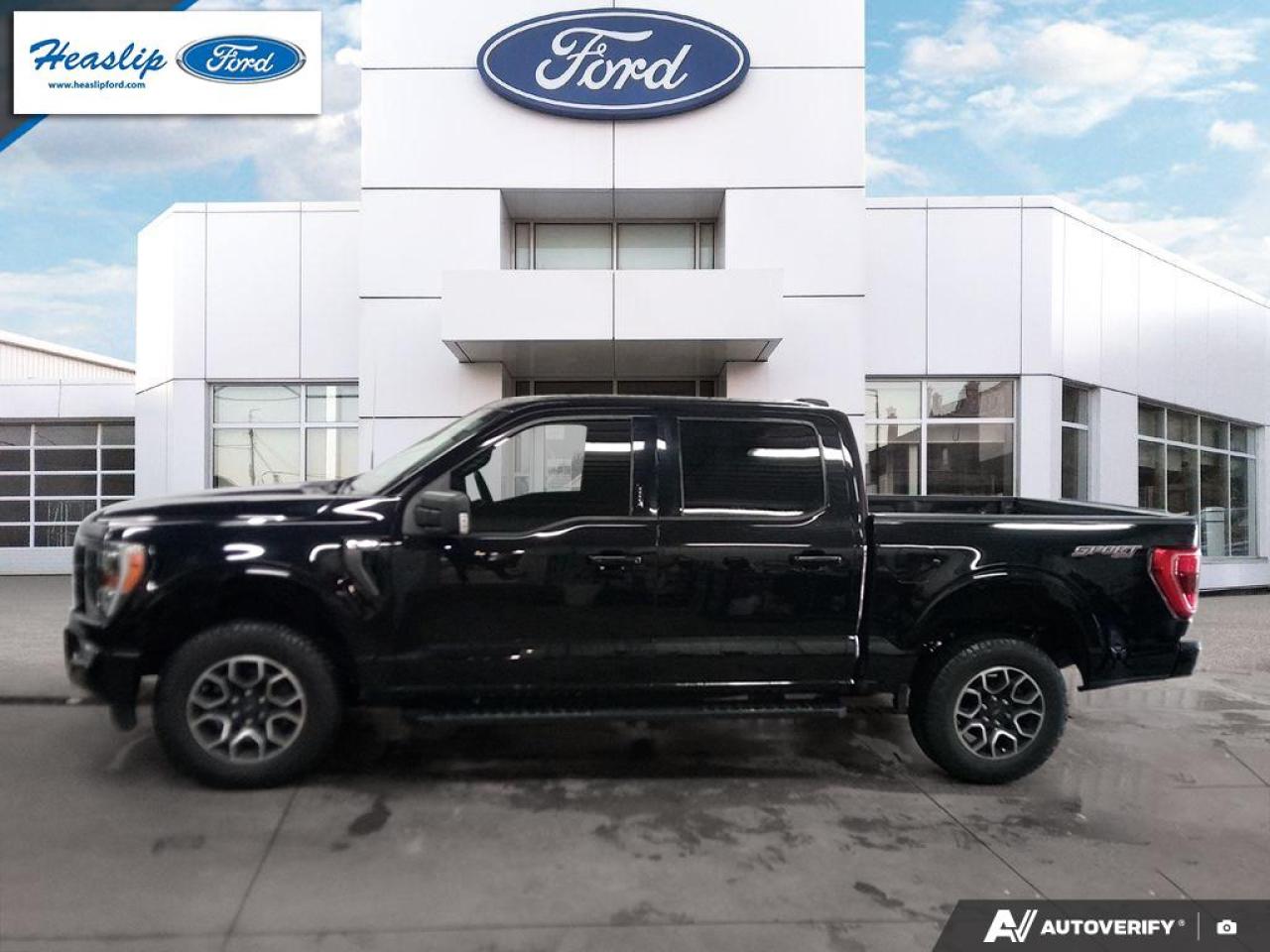 2022 Ford F-150 XLT Photo