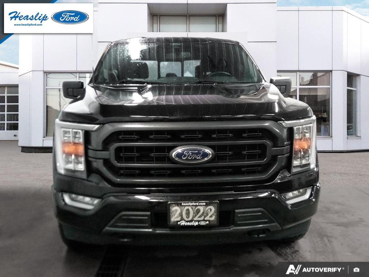 2022 Ford F-150 XLT Photo