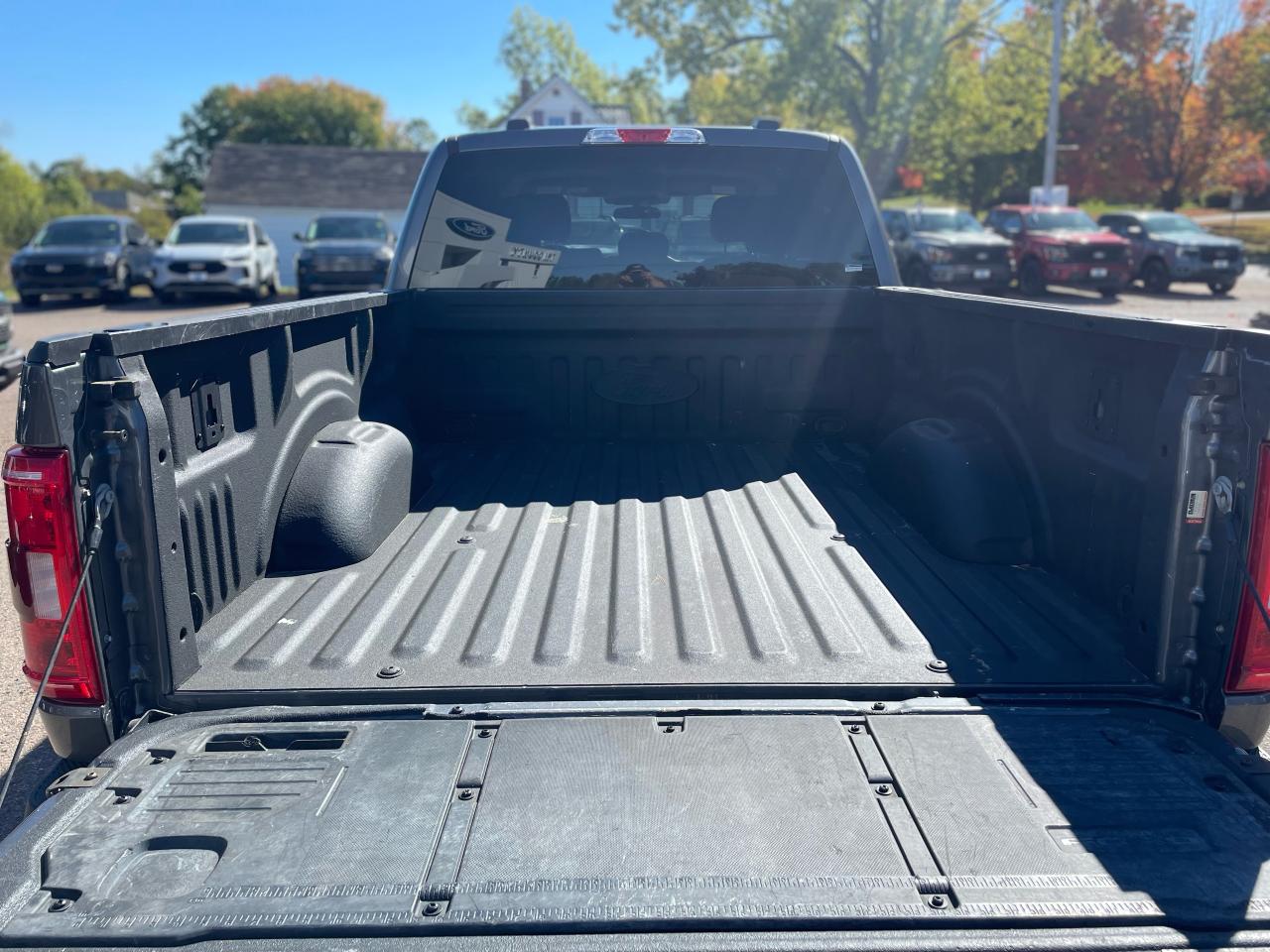 2021 Ford F-150 XLT Photo5
