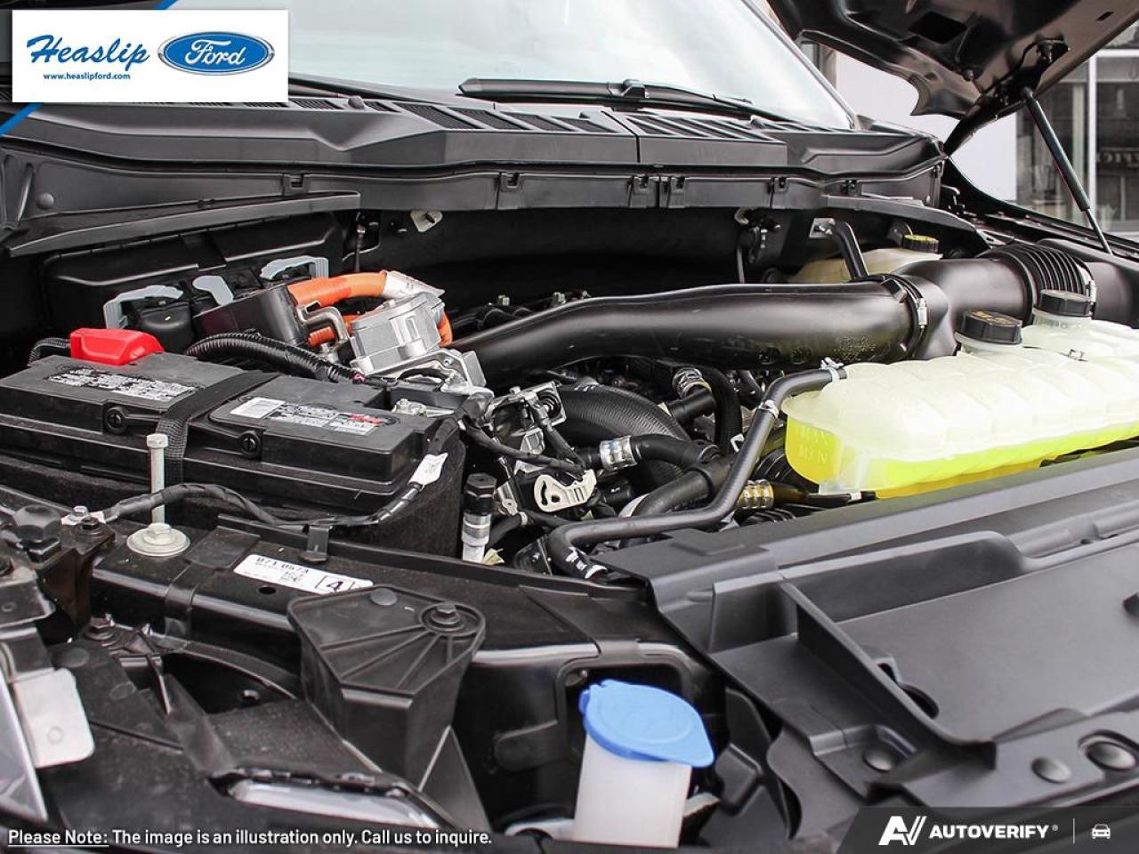 2025 Ford F-150 XLT Photo