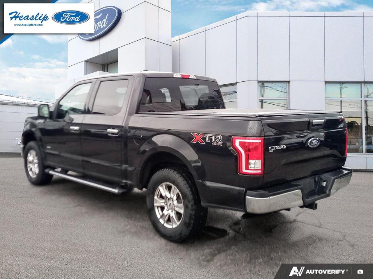 2015 Ford F-150 XLT Photo