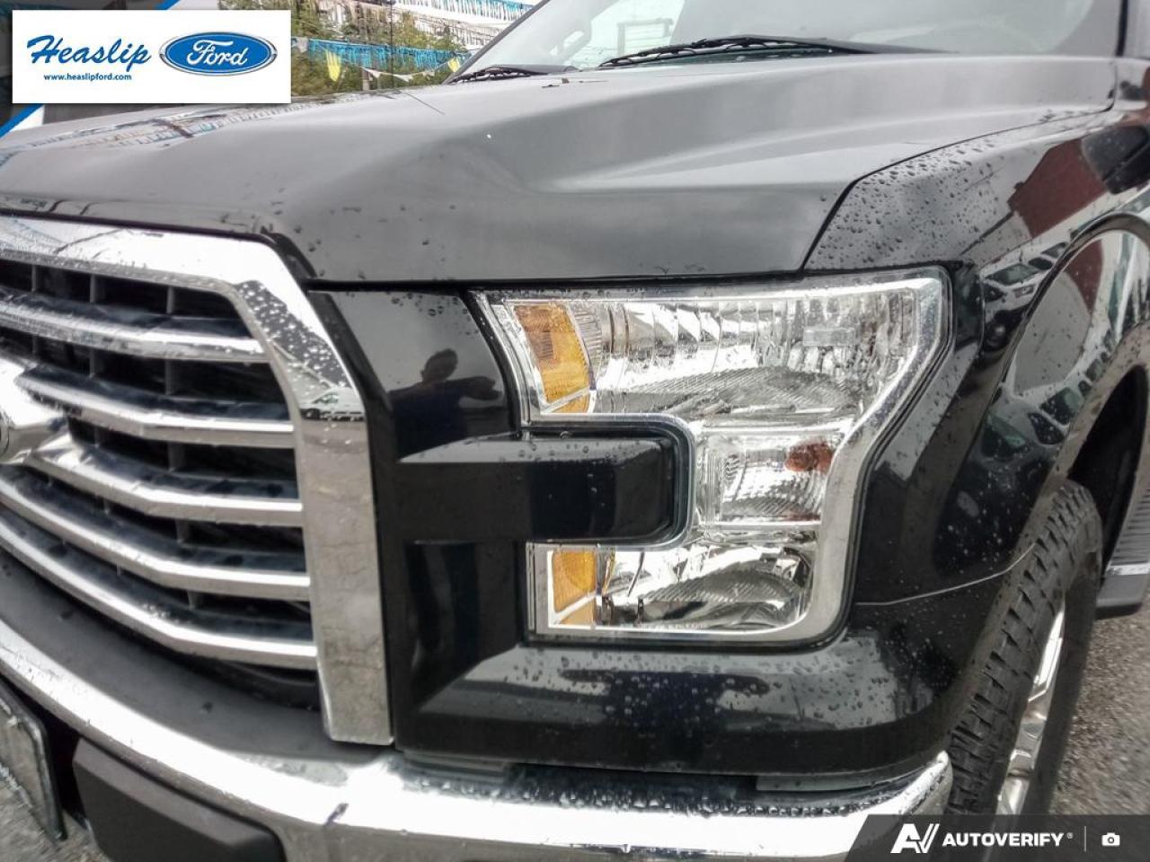 2015 Ford F-150 XLT Photo5