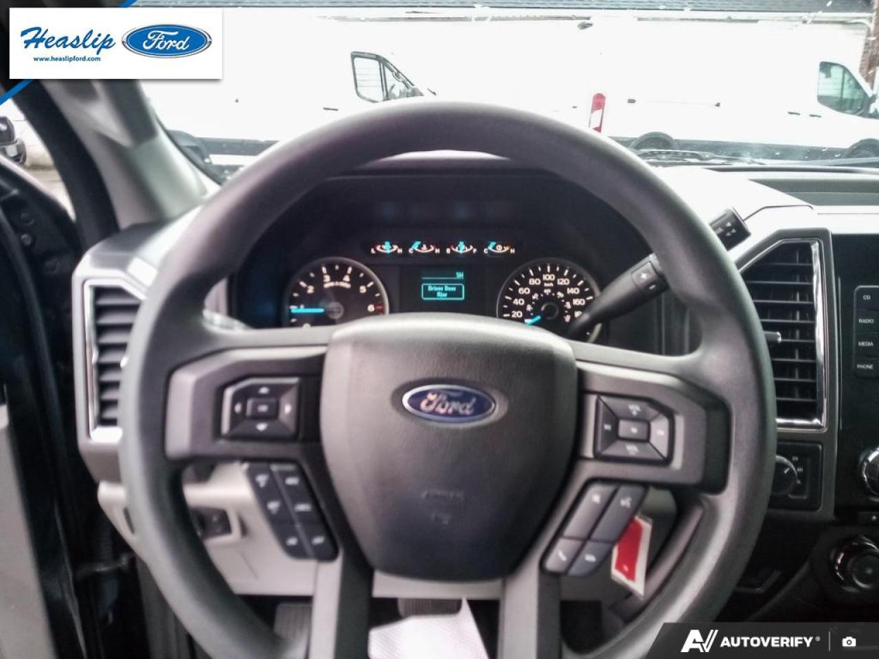 2015 Ford F-150 XLT Photo5