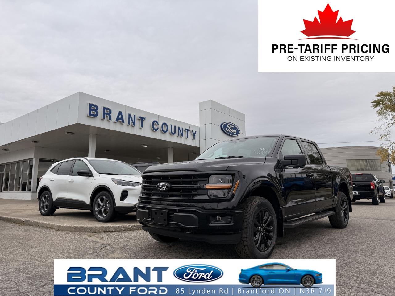 New 2025 Ford F-150 XLT for sale in Brantford, ON