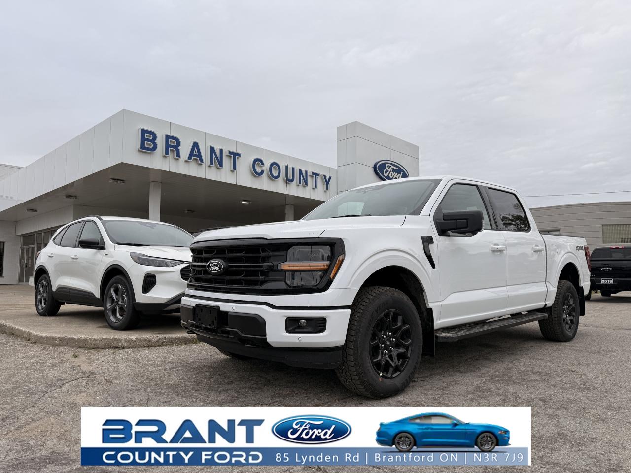 New 2025 Ford F-150 XLT for sale in Brantford, ON