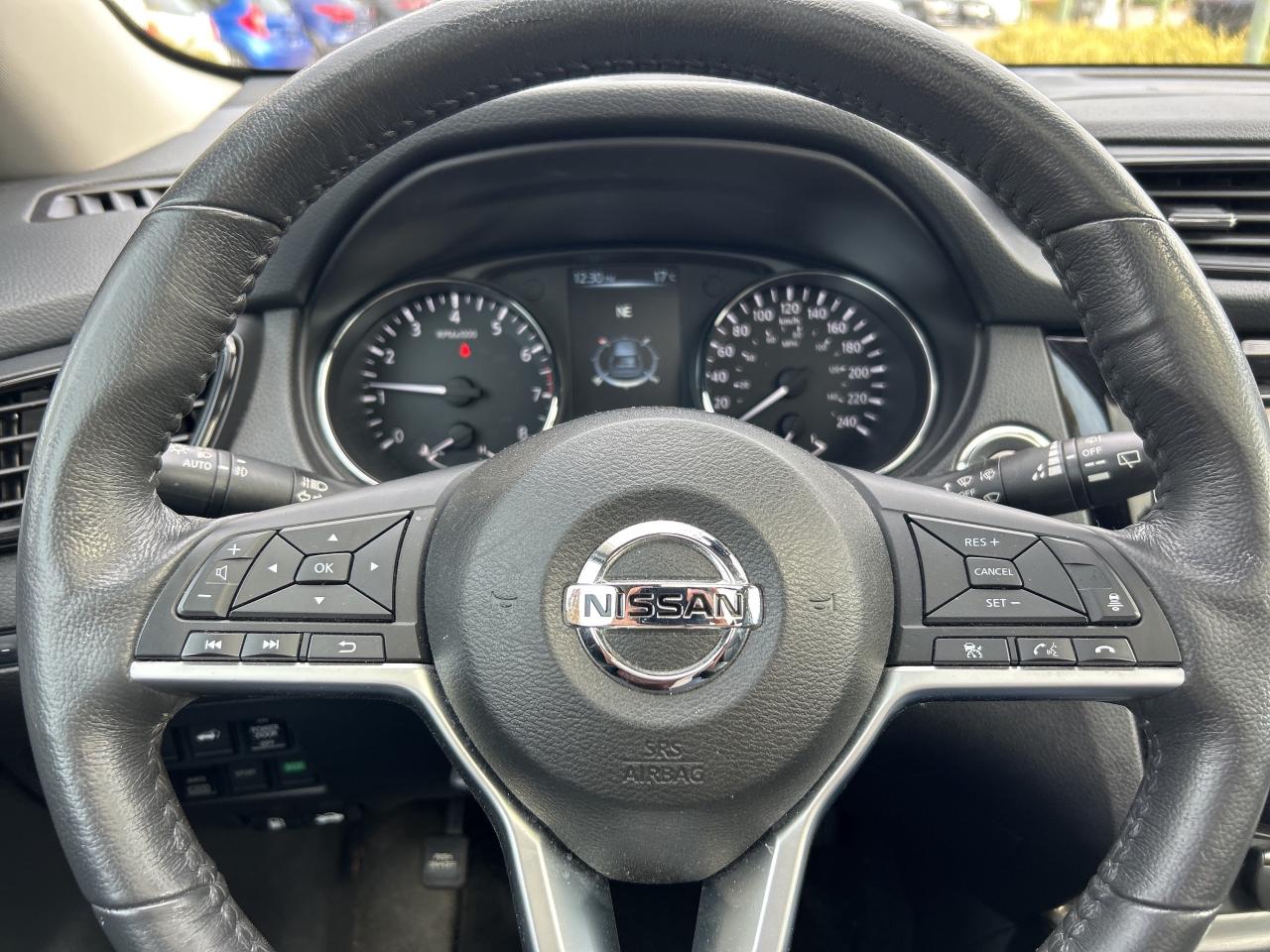 13036486