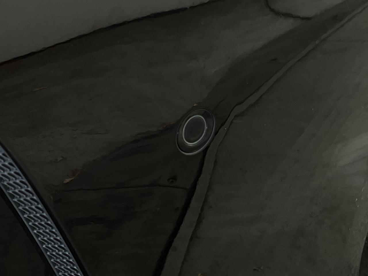 13036516