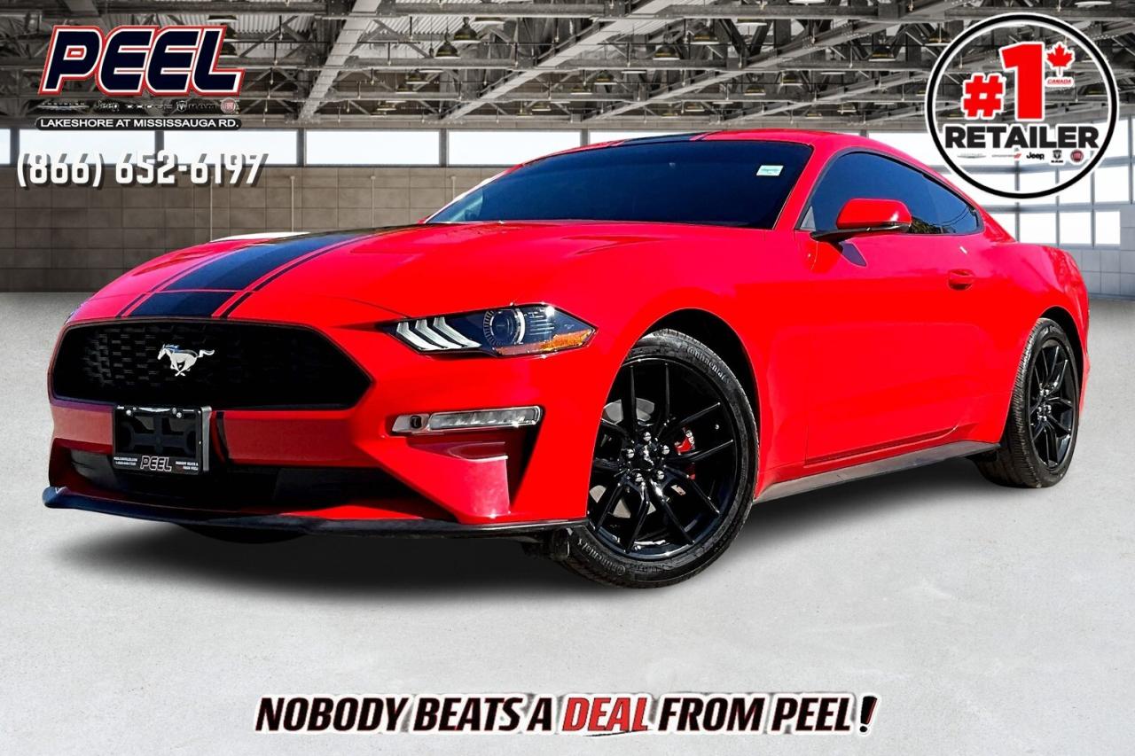 Used 2018 Ford Mustang EcoBoost Premium Fastback RWD for sale in Mississauga, ON