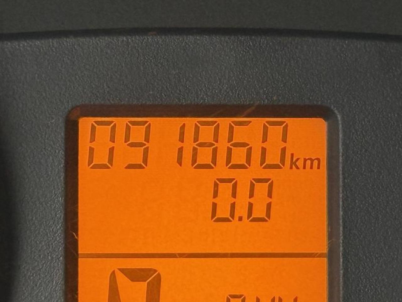 13036915