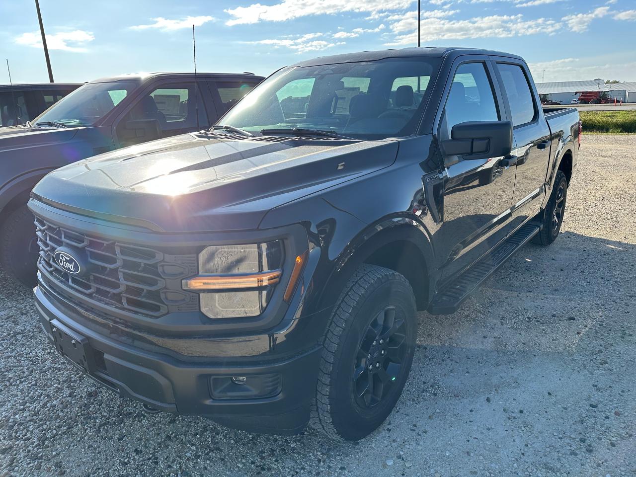 New 2025 Ford F-150 4X4 SUPERCREW - 145 for sale in Elie, MB