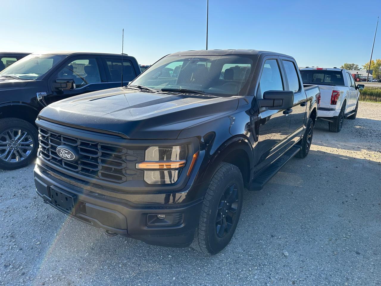 New 2025 Ford F-150 STX 4WD SuperCrew 5.5' Box 201A for sale in Elie, MB