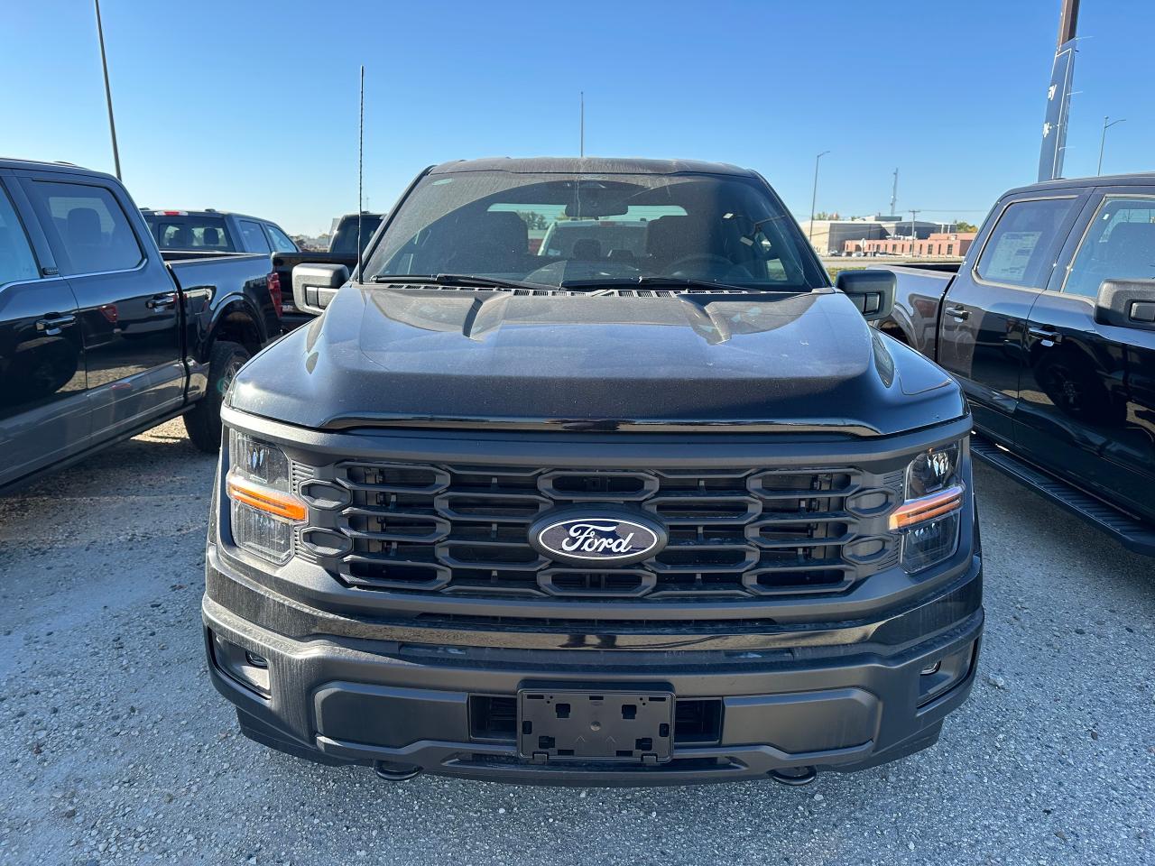 2025 Ford F-150 STX 4WD SuperCrew 5.5' Box 201A Photo