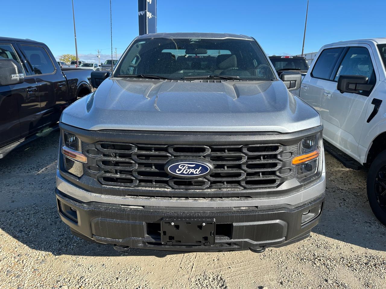 2025 Ford F-150 4X4 SUPERCREW - 145 201A Photo2