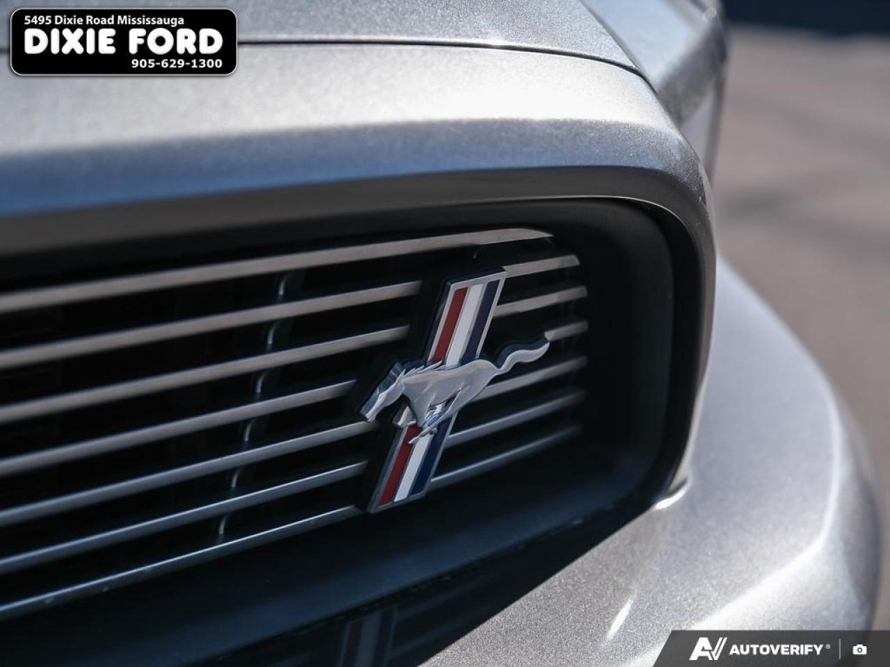 2014 Ford Mustang V6 Premium Photo