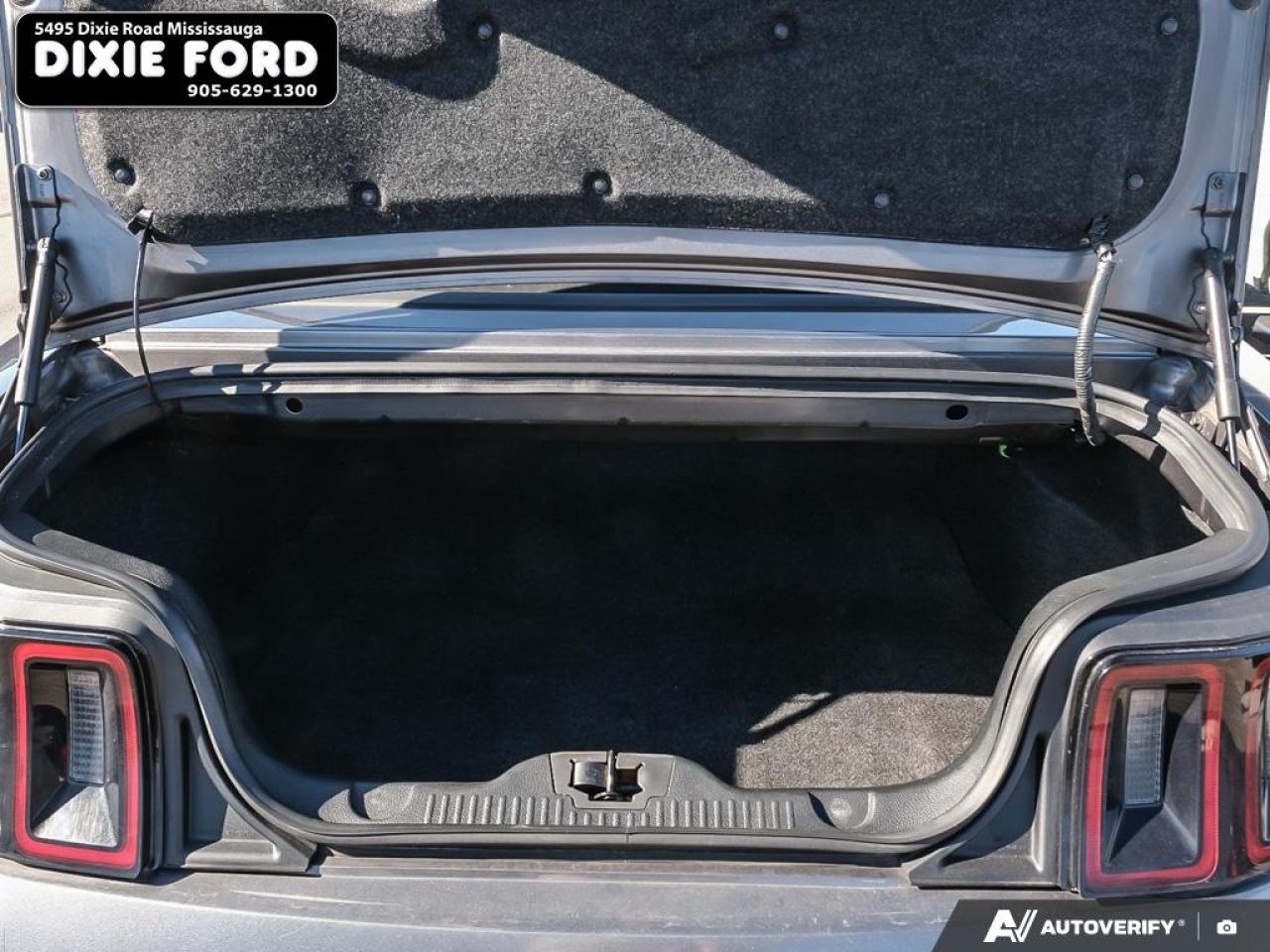 2014 Ford Mustang V6 Premium Photo