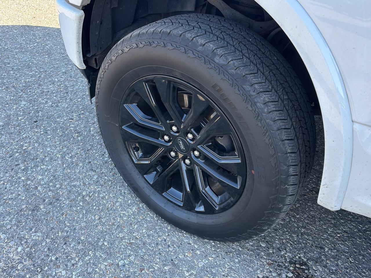 13037374