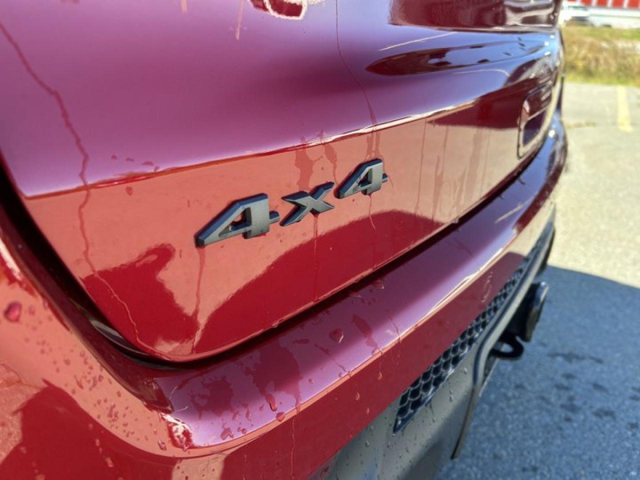 13037644