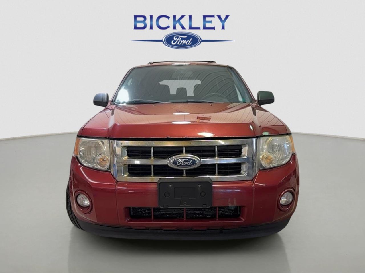 2011 Ford Escape XLT Photo