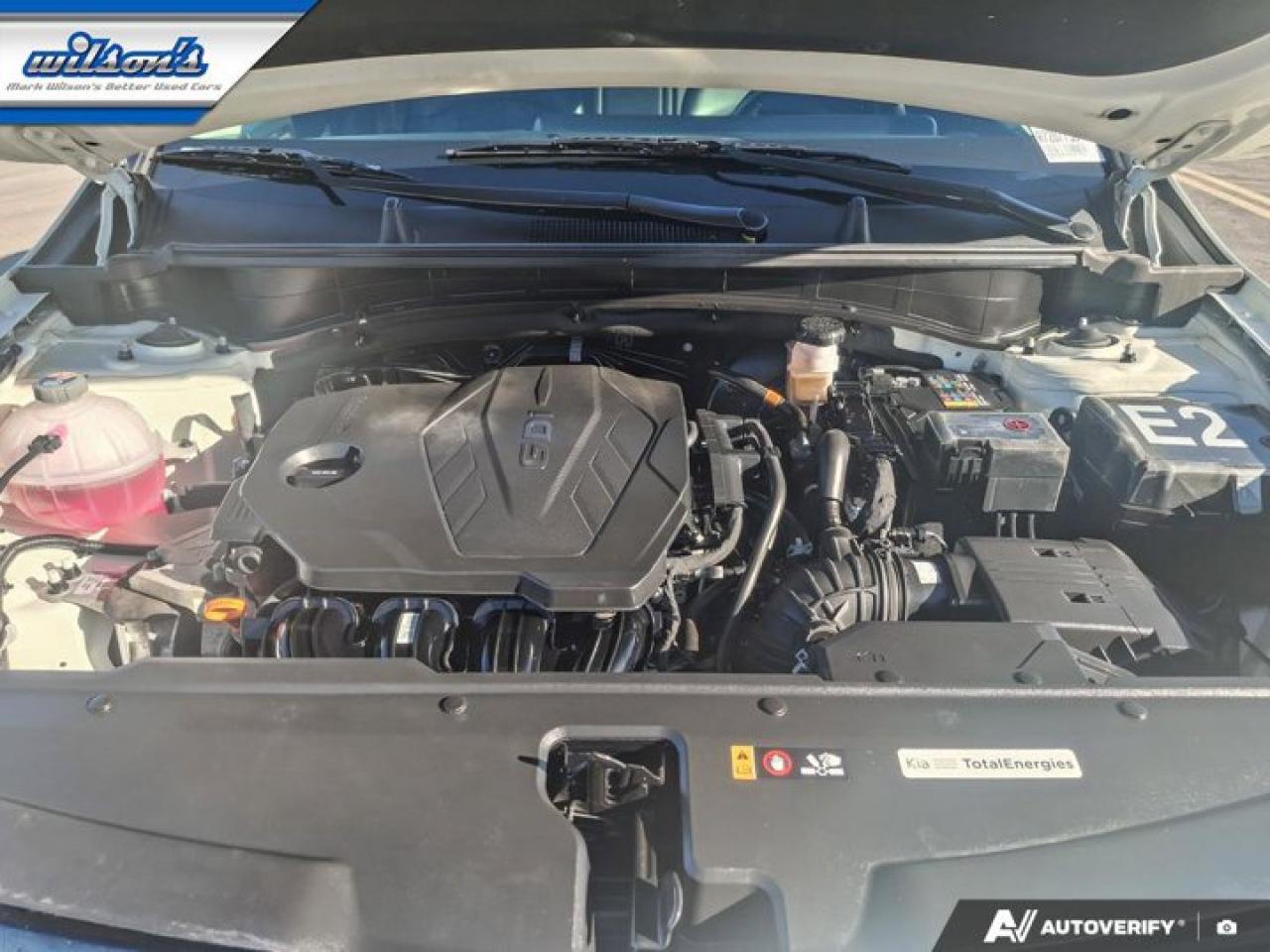 2024 Kia Sportage EX AWD | Navi | Leather | Pano Roof | Heated Seats + Steering | Remote Start | CarPlay | and More ! Photo