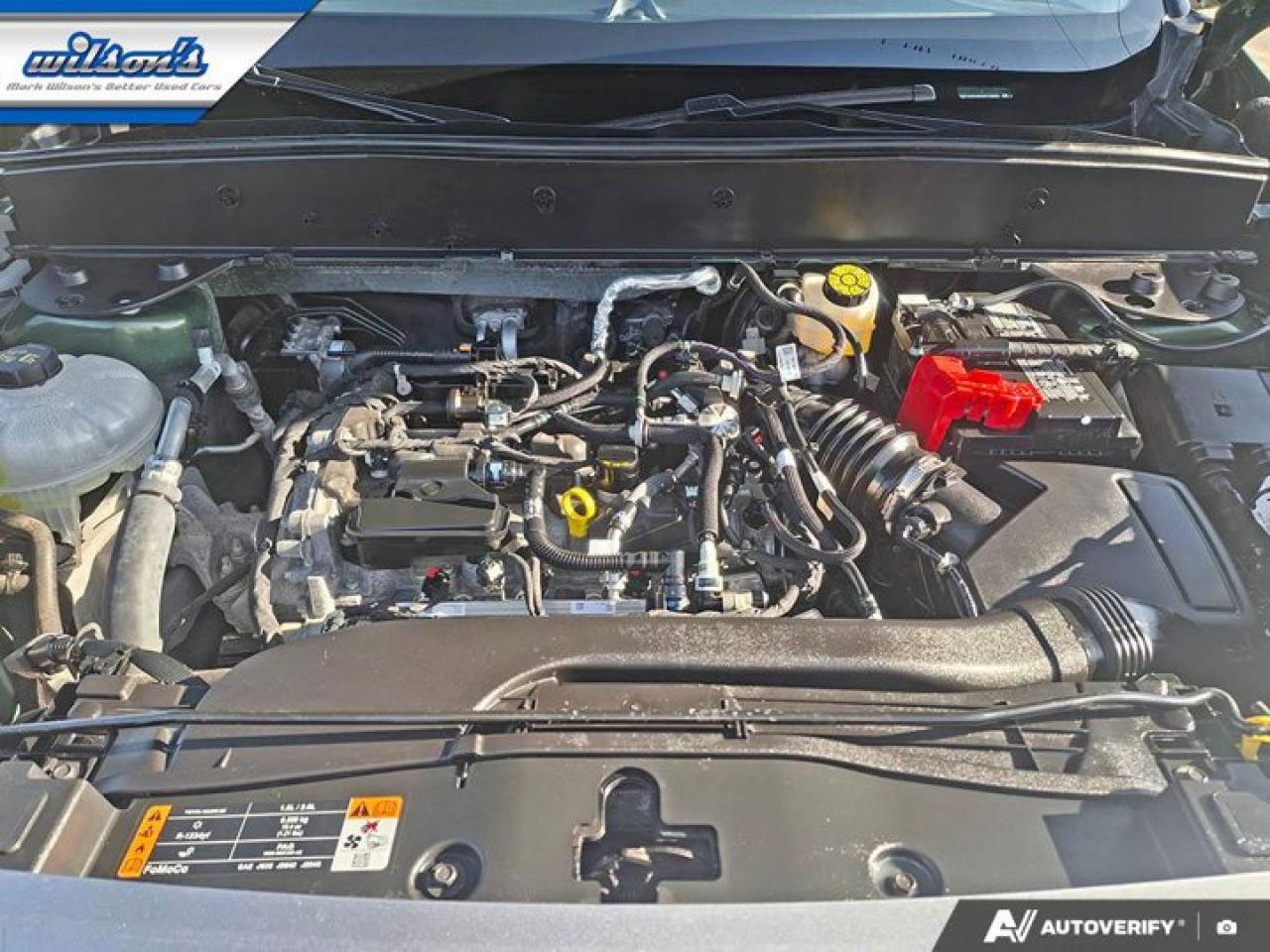 2024 Ford Bronco Sport Free Wheeling 4WD | Sunroof | Tow Pkg | Convenience Pkg | Heated Seats | Power Seat | and More ! Photo