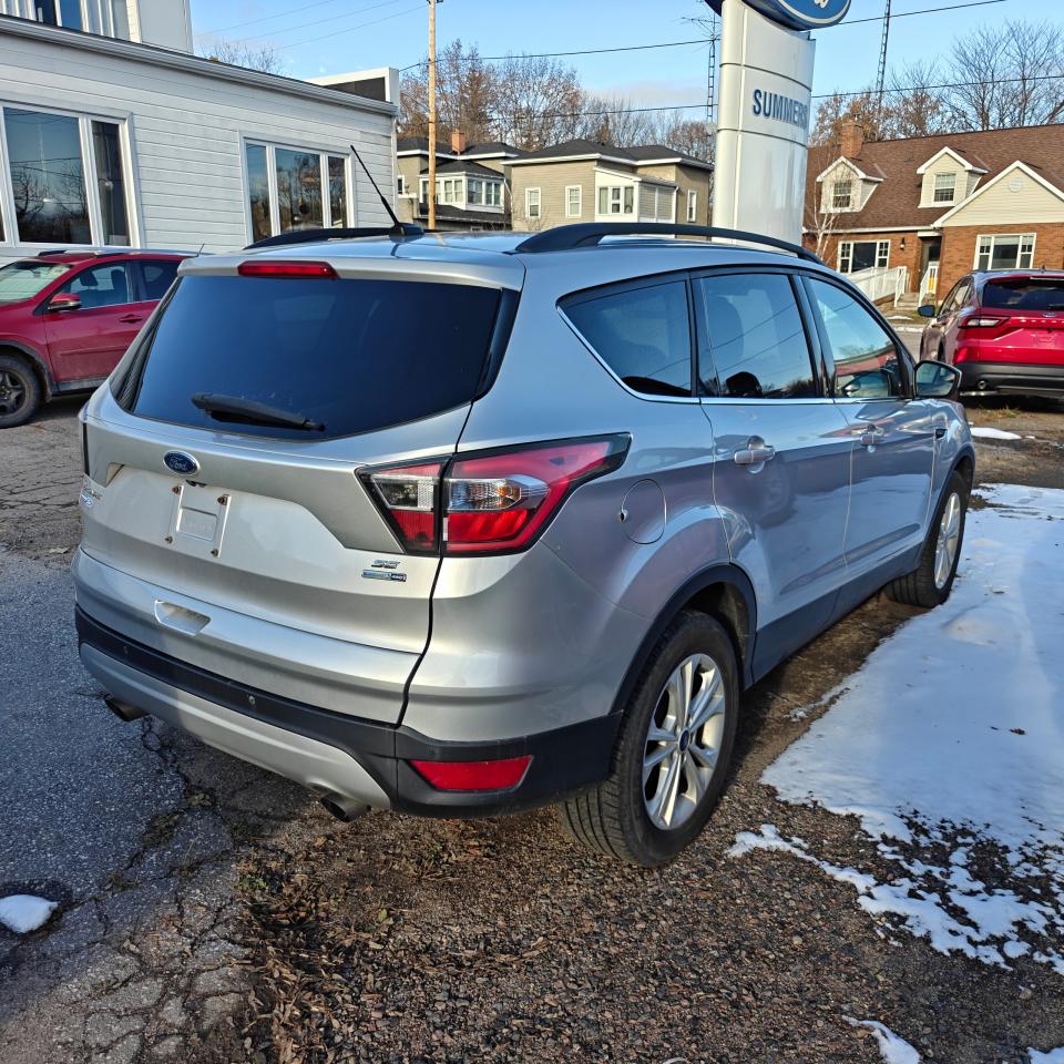 2017 Ford Escape SE Photo