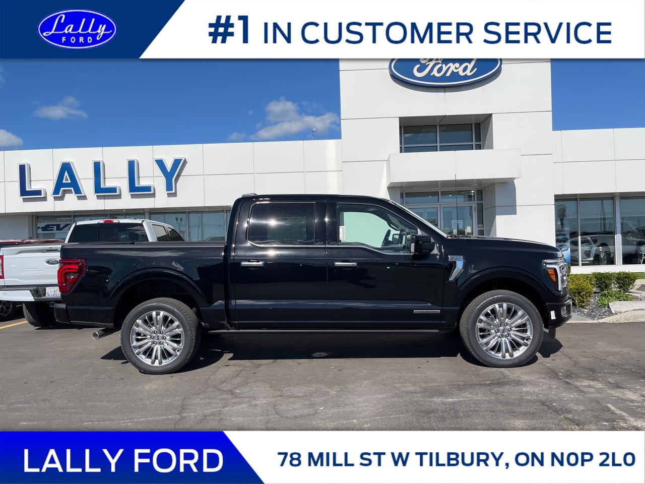 2025 Ford F-150 Platinum Photo