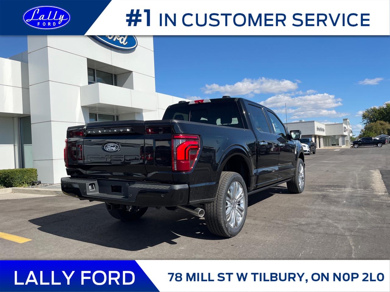 2025 Ford F-150 Platinum Photo2