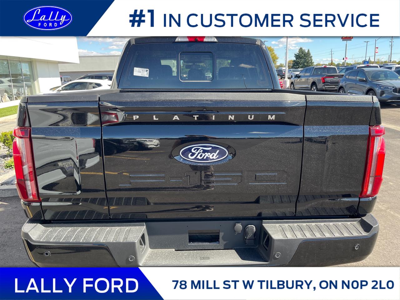 2025 Ford F-150 Platinum Photo3