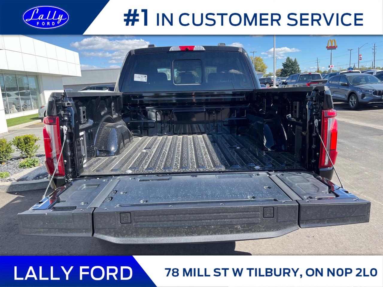 2025 Ford F-150 Platinum Photo