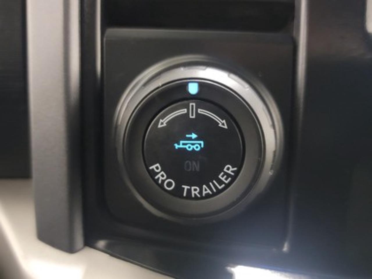 13038715